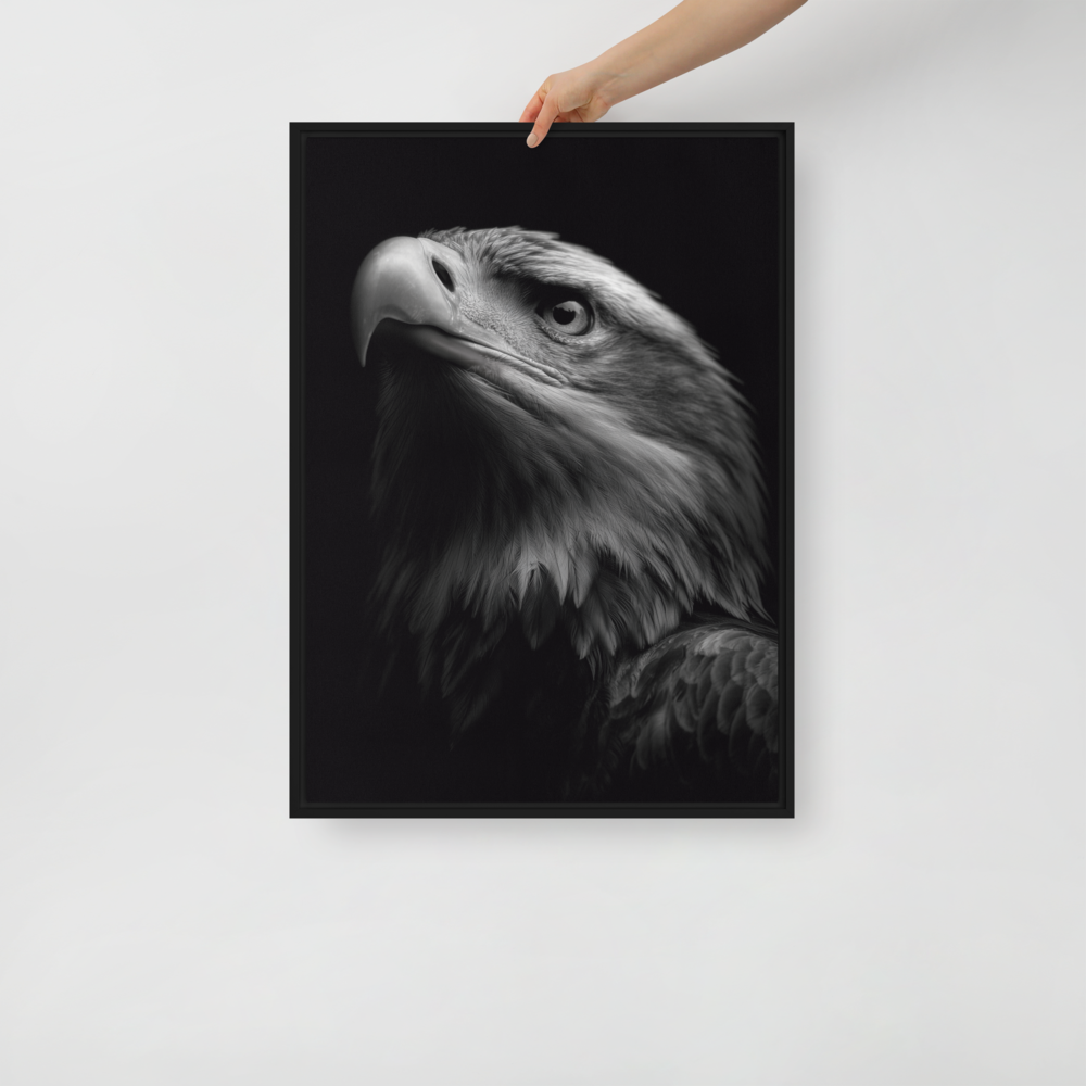 Framed canvas