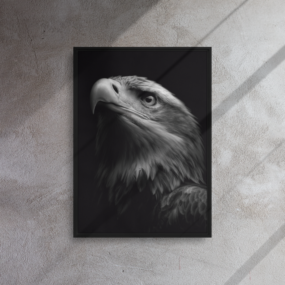 Framed canvas